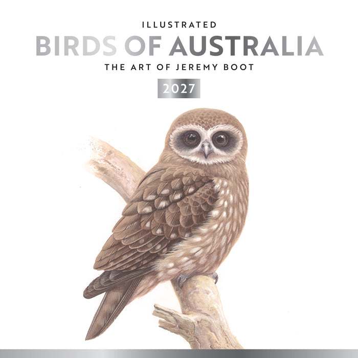Birds of Australia Jeremy Boot 2027 Square Wall Calendar