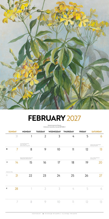 Illustrated Wildflowers of Australia 2027 Square Wall Calendar