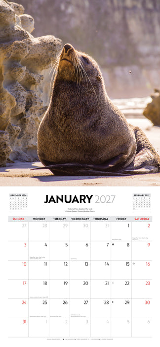 New Zealand Wildlife 2027 Square Wall Calendar
