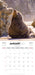 New Zealand Wildlife 2027 Square Wall Calendar