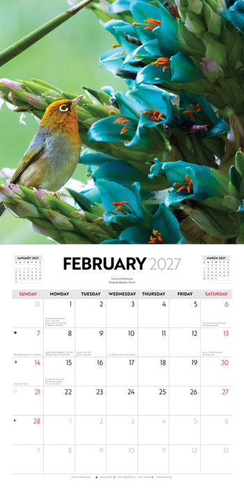 New Zealand Wildlife 2027 Square Wall Calendar