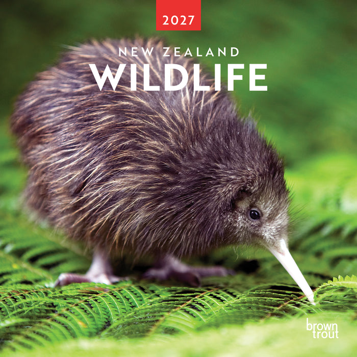 New Zealand Wildlife 2027 Square Wall Calendar
