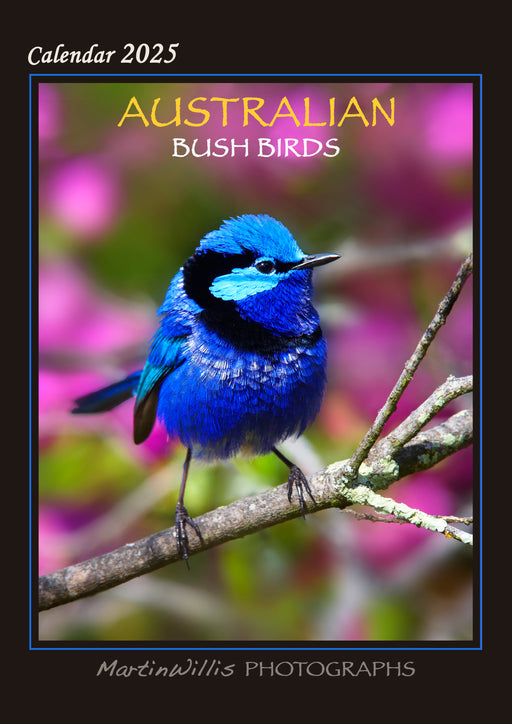 2025 Australian Bush Birds Wall Calendar by  Martin Willis Photographs from Calendar Club