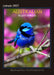 2025 Australian Bush Birds Wall Calendar by  Martin Willis Photographs from Calendar Club