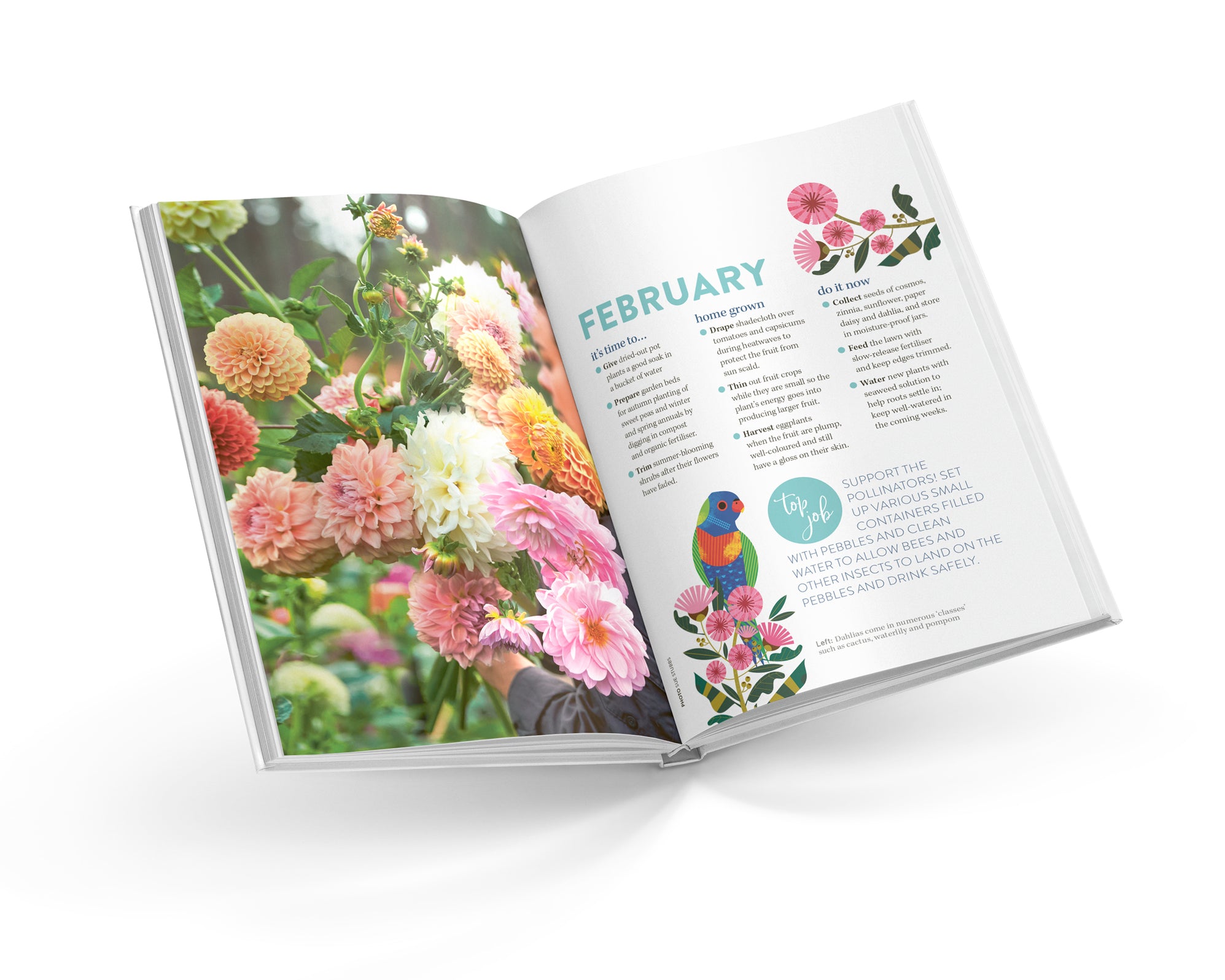 Calendar Club 2025 ABC Gardening Australia Diary