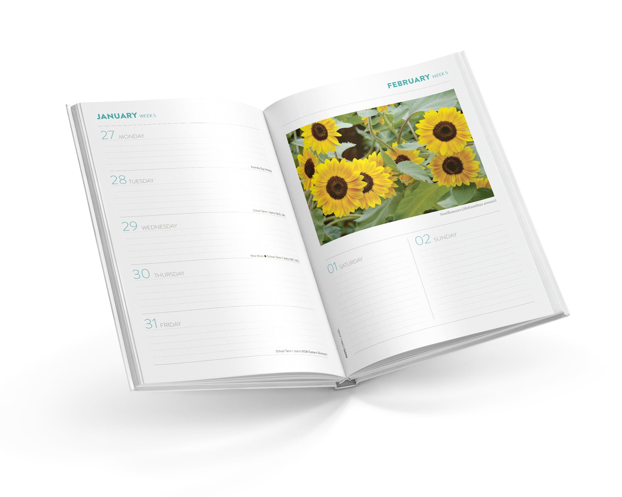 Calendar Club 2025 ABC Gardening Australia Diary