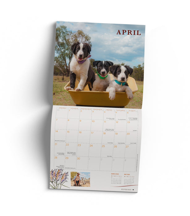 2025 Muster Dogs Wall Calendar