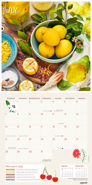 2025 ABC Organic Gardener Wall Calendar
