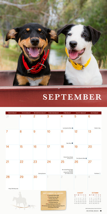 Muster Dogs 2026 Square Wall Calendar