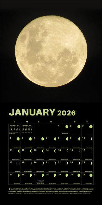 Lunar 2026 Square Wall Calendar