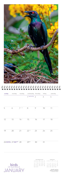 2025 Birds of Australia Wall Calendar by  Steven Nowakowski Publishing from Calendar Club