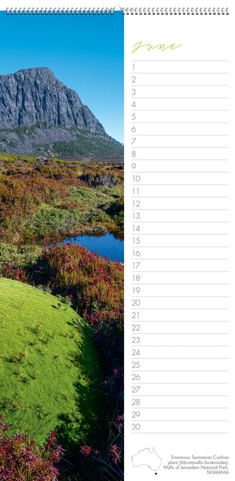 Perpetual Birthday Slimline Wall Calendar