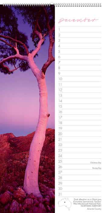 Perpetual Birthday Slimline Wall Calendar