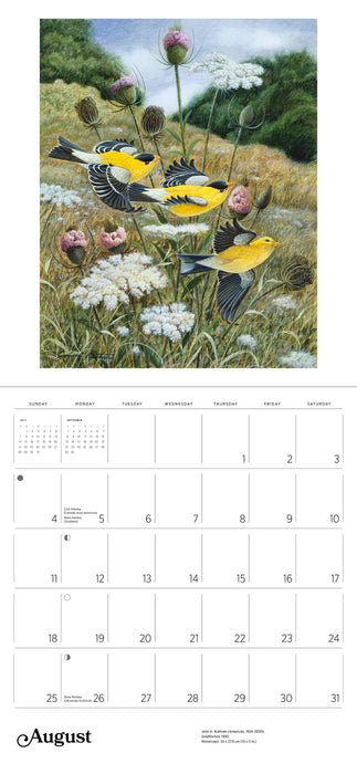 2024 A Birder's View: Paintings by John A Ruthven Wall Calendar