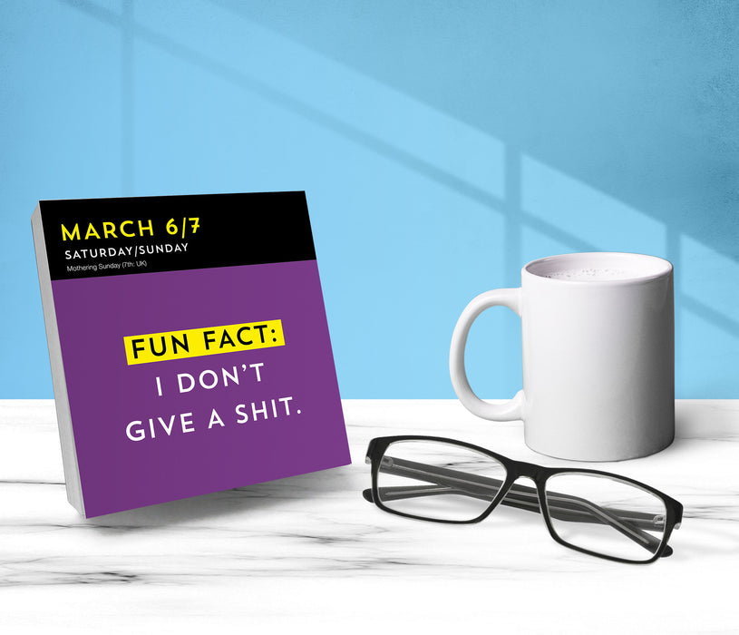 A F*cking 2027 Page-A-Day Calendar