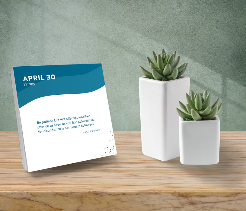Everyday Calm 2027 Page-A-Day Calendar