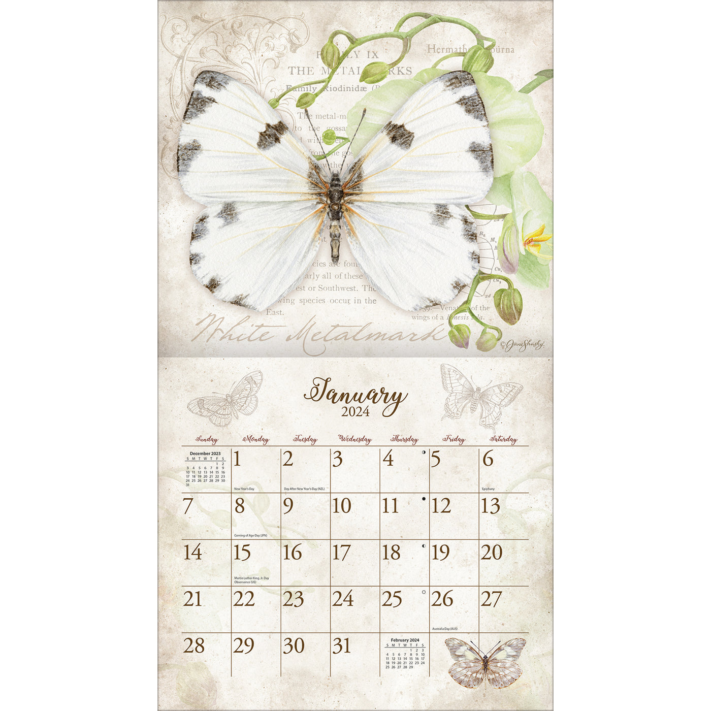 2024 Butterflies Wall Calendar — Calendar Club