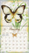 Butterflies 2027 Large Wall Calendar