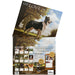 Love Of Dogs 2027 Large Wall Calendar