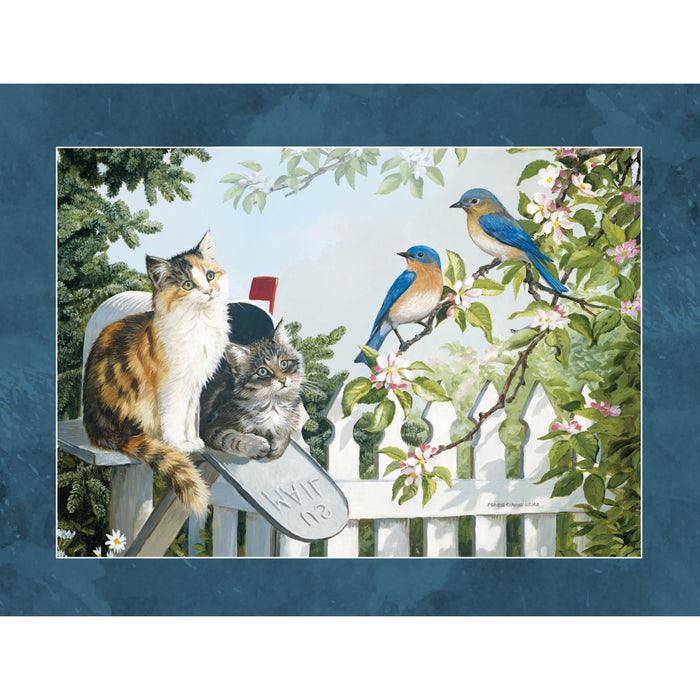 Love Of Cats Special Edition 2027 Large Wall Calendar