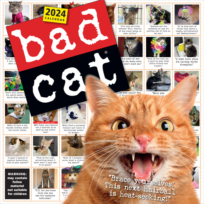 2024 Bad Cat Wall Calendar