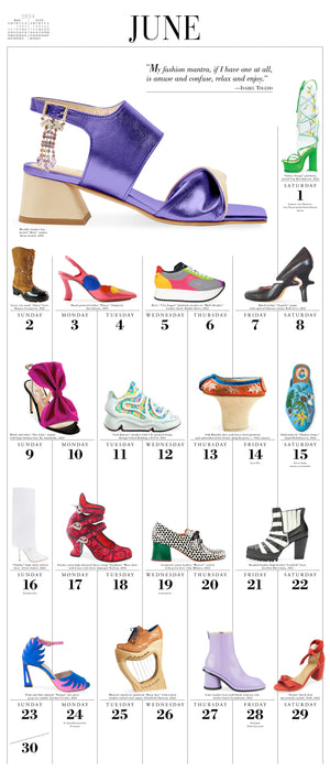 2024 365 Days of Shoes Wall Calendar