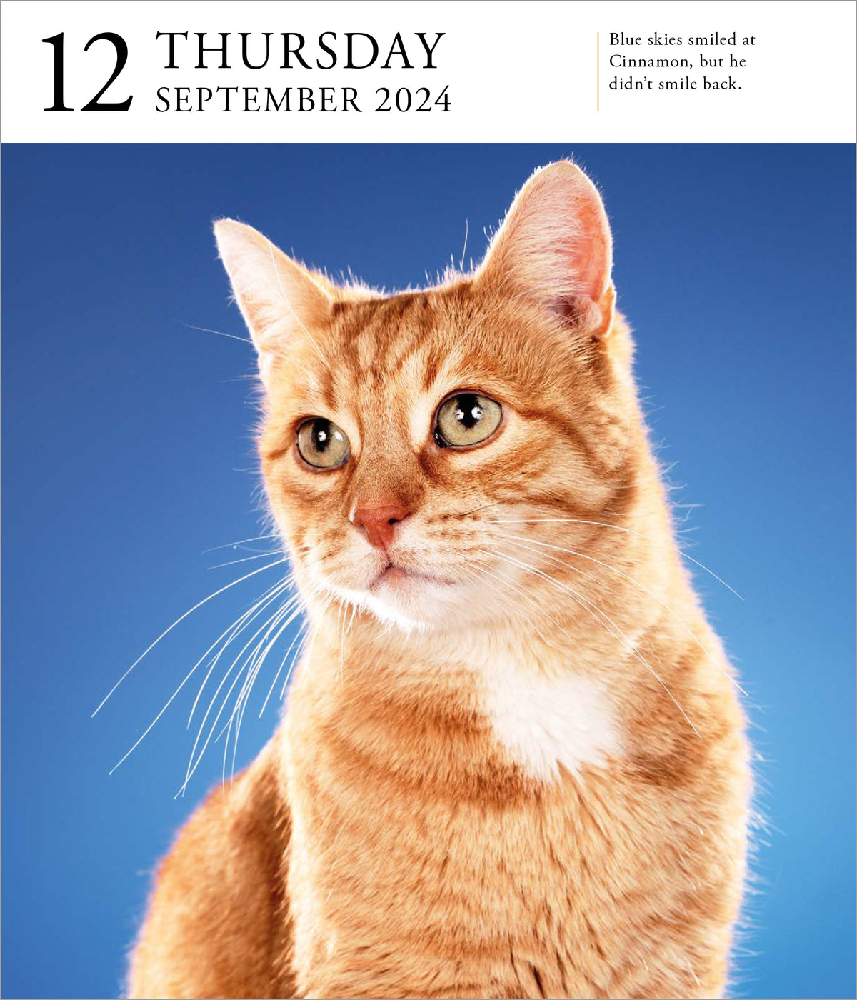 2024 Cat PageADay Gallery — Calendar Club
