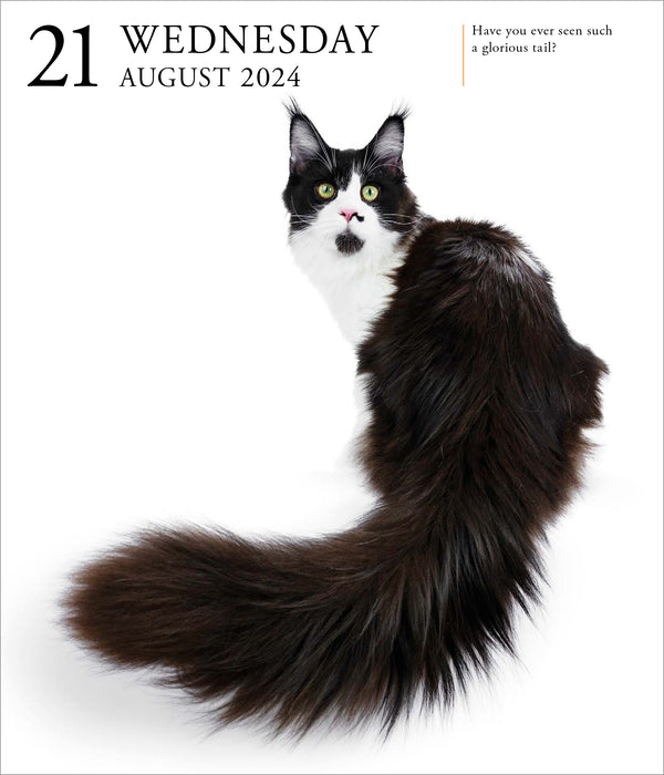 2024 Cat Page-A-Day Gallery