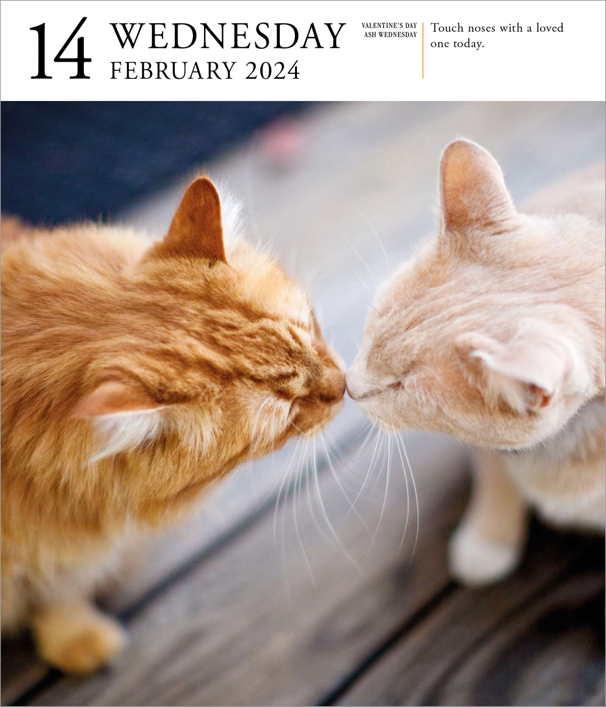 2024 Cat PageADay Gallery — Calendar Club