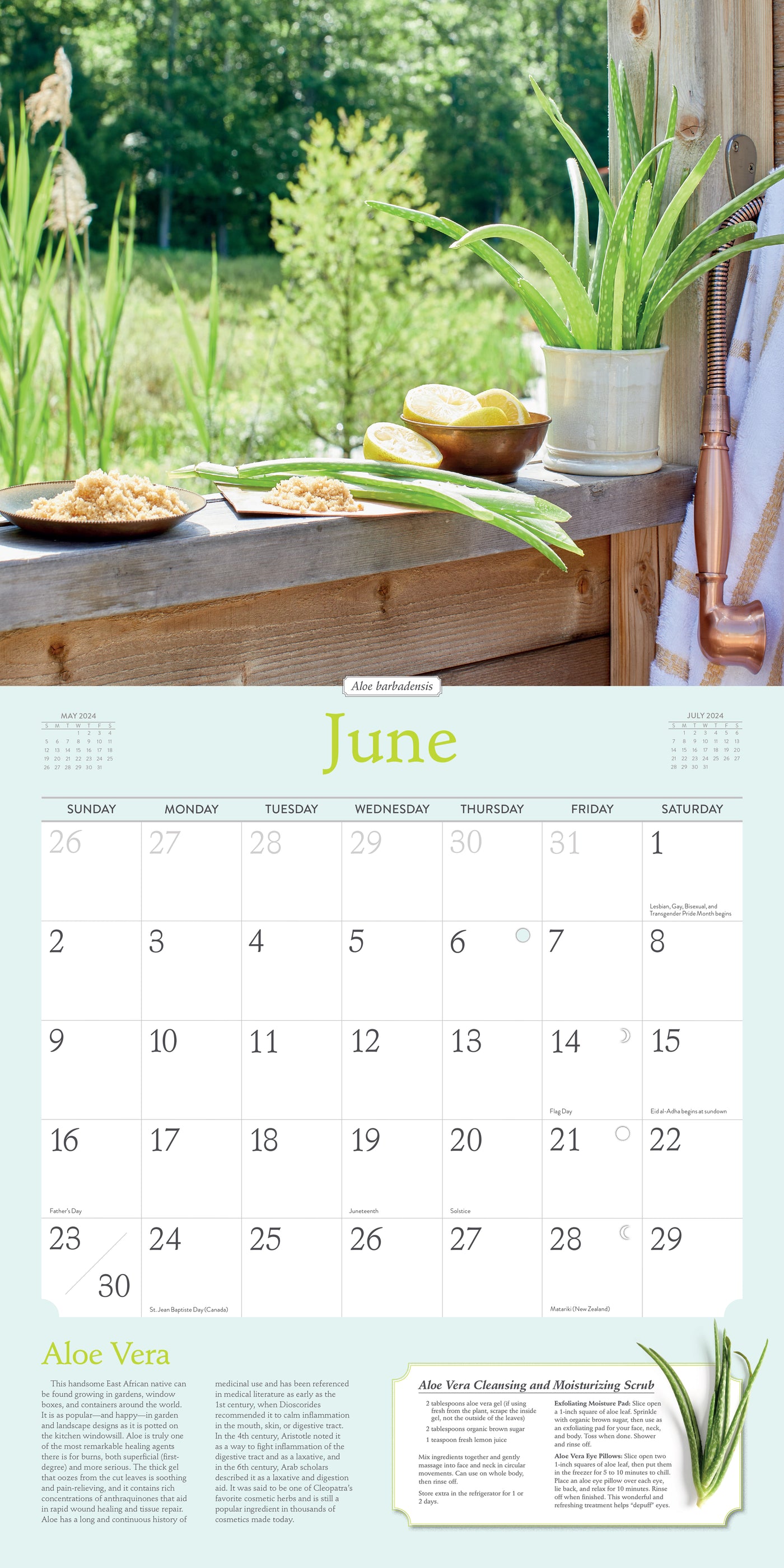 2024 Rosemary Gladstar's Herbs Wall Calendar — Calendar Club