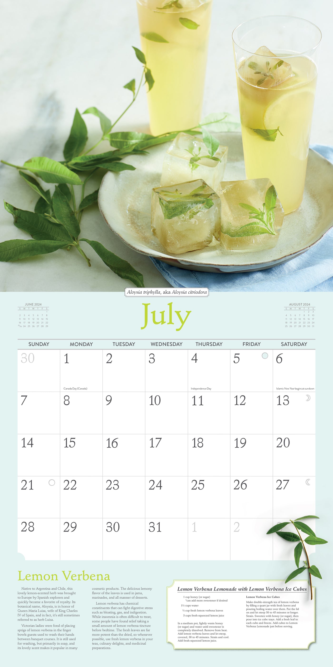 2024 Rosemary Gladstar's Herbs Wall Calendar — Calendar Club