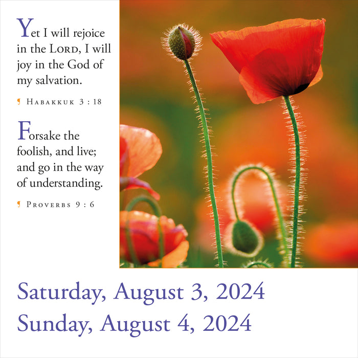 2024 365 Bible Verses-A-Year Page-A-Day