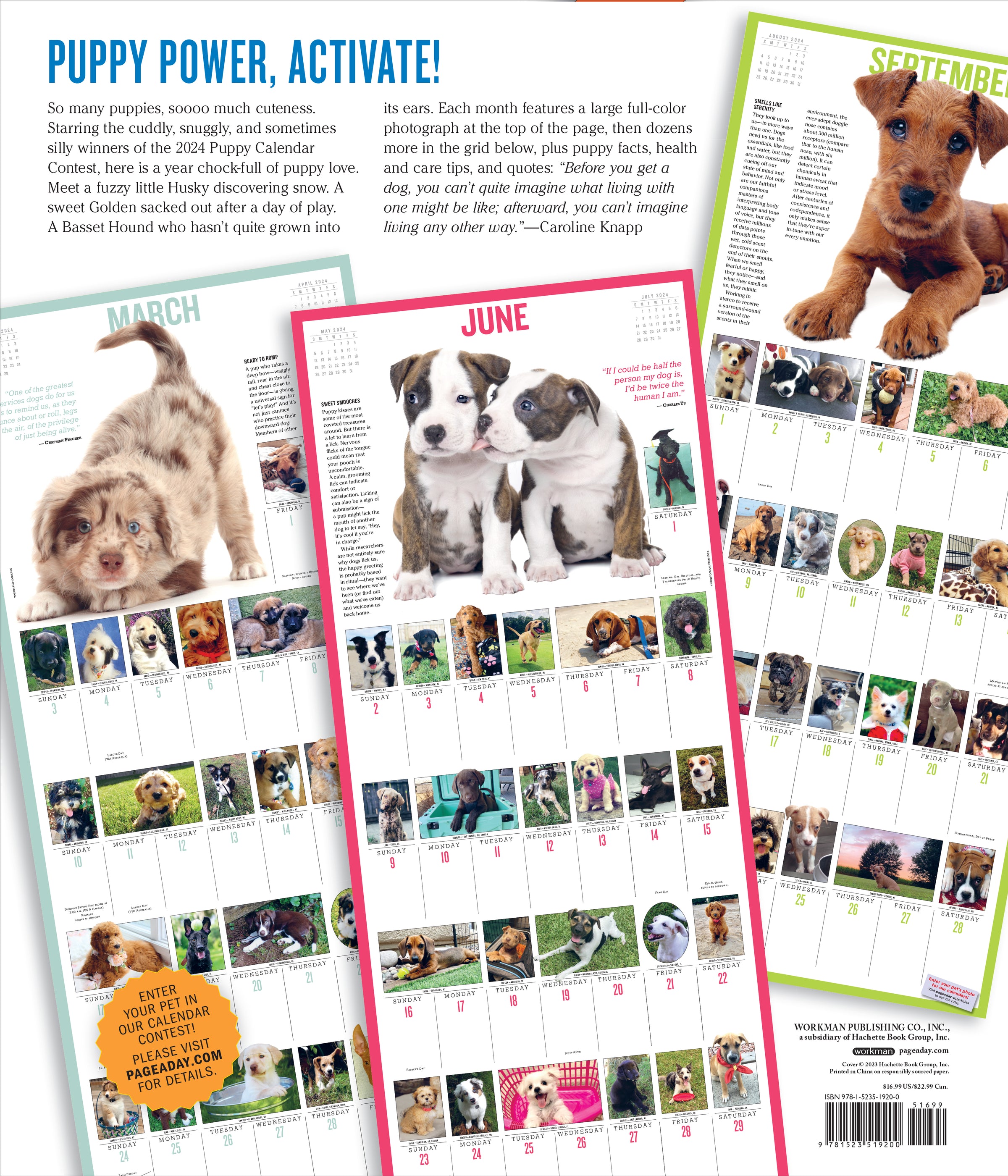 Click to expand Tap to zoom