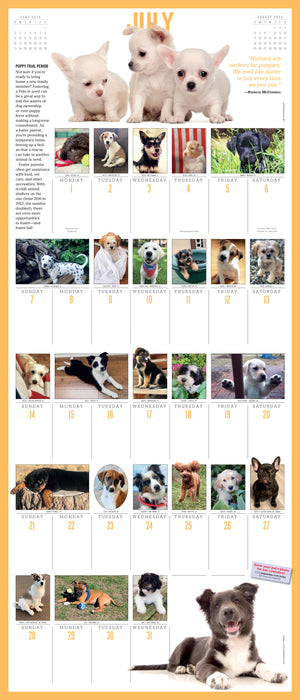 2024 365 Puppies Wall Calendar