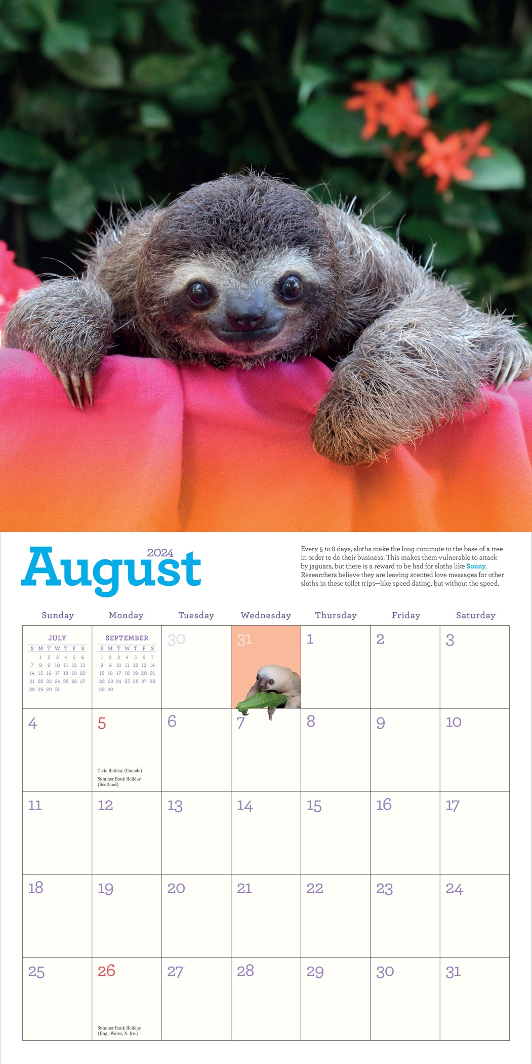 2024 Original Sloths Wall Calendar — Calendar Club