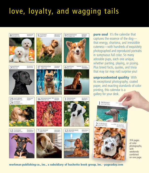 2024 Dog Refill Pack Page-A-Day Gallery (Online Exclusive)