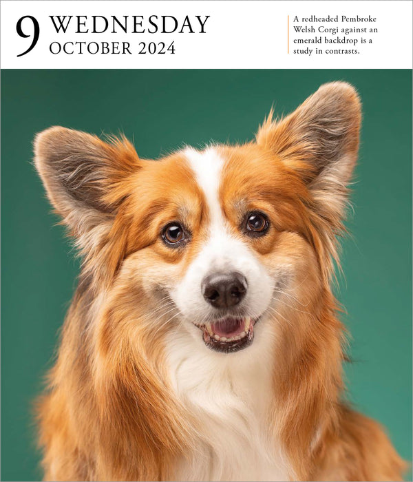 2024 Dog PageADay Gallery — Calendar Club