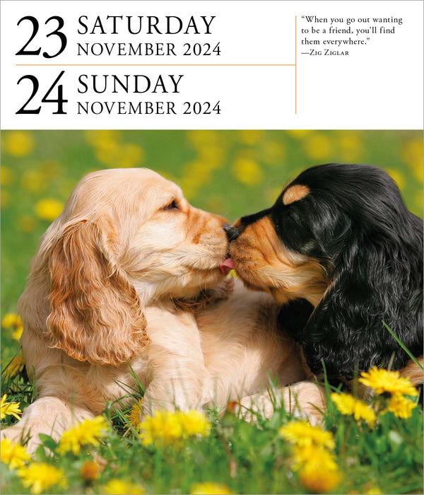 2024 Dog Page-A-Day Gallery