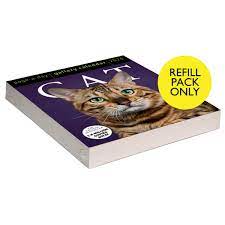 2024 Cat Refill Pack Page-A-Day Gallery (Online Exclusive)