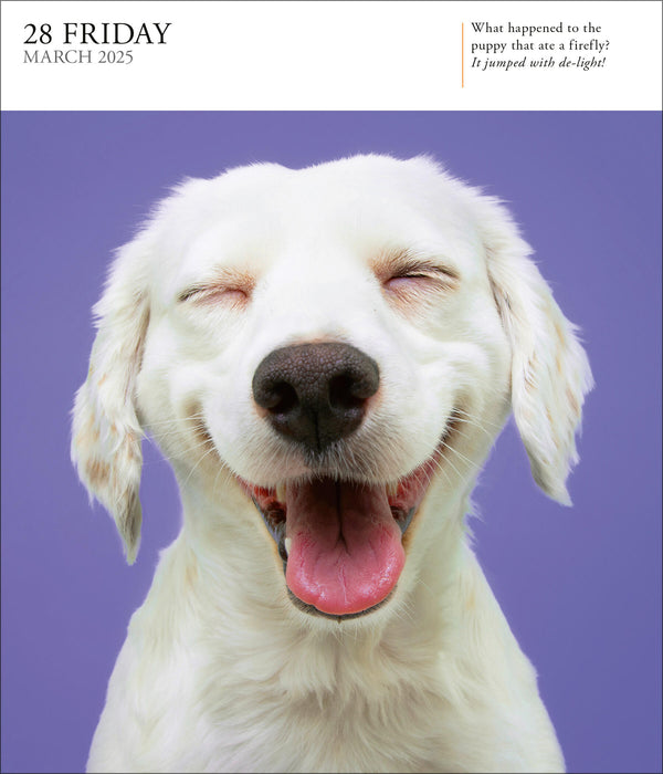 2025 Dog Page-A-Day Gallery Calendar