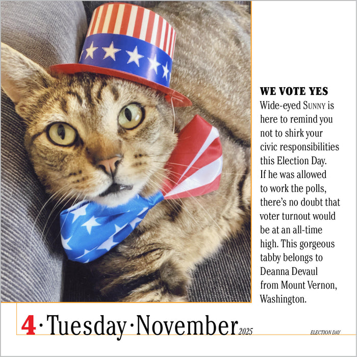 2025 365 Cats Page-A-Day Calendar