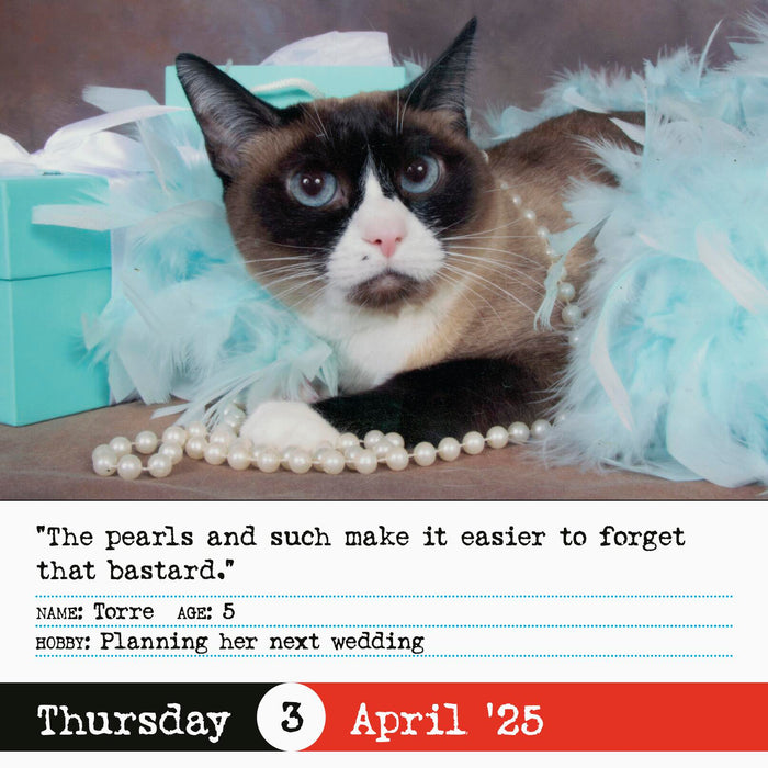 2025 Bad Cat Page-A-Day Calendar