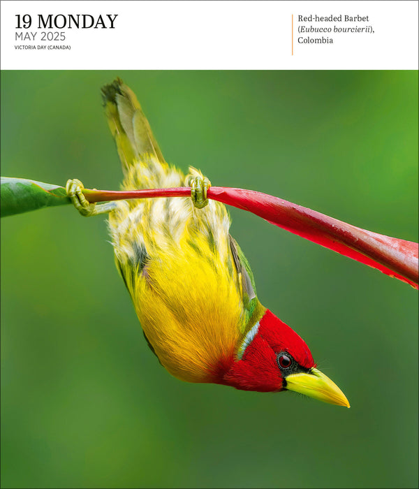 2025 Audubon Nature Page-A-Day Gallery Calendar