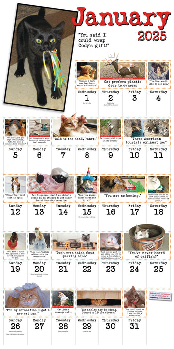 2025 Bad Cat Wall Calendar