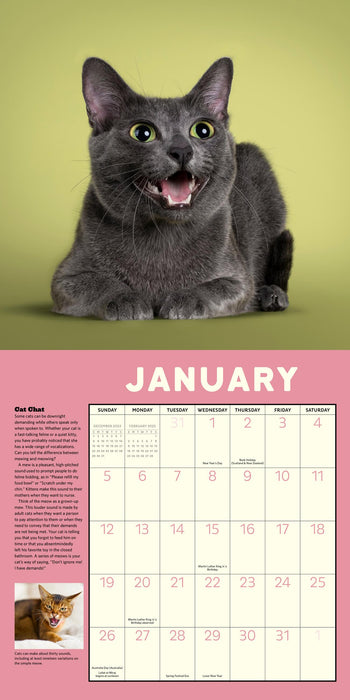 2025 How to Speak Cat Wall Calendar
