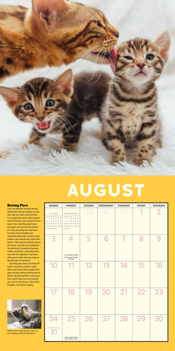 2025 How to Speak Cat Wall Calendar