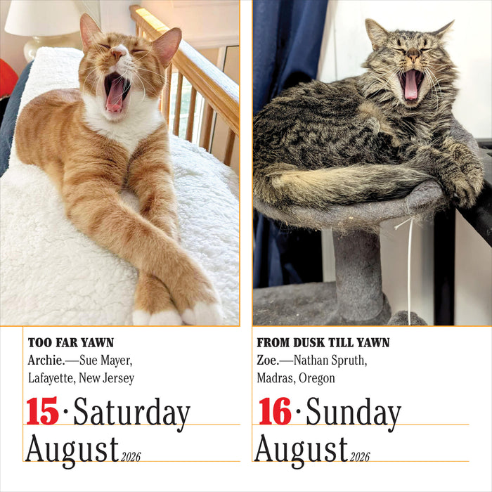 365 Cats 2026 Page-A-Day Calendar