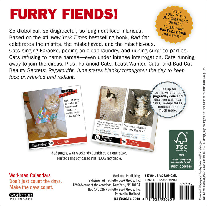 Bad Cat 2026 Page-A-Day Calendar