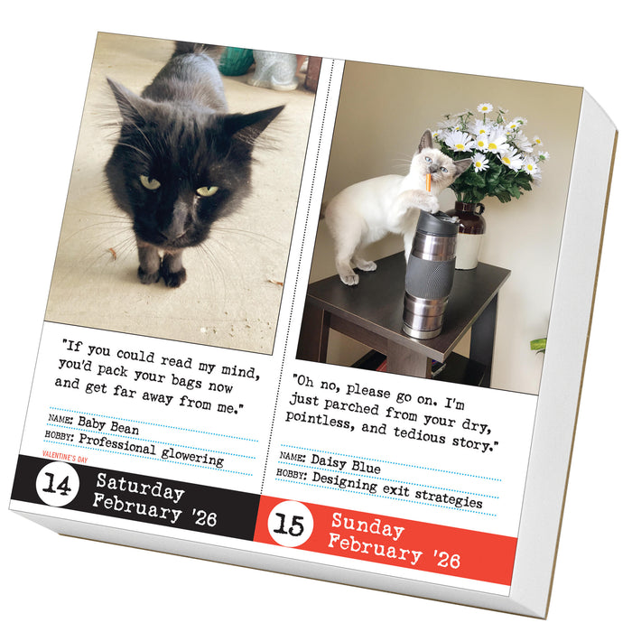 Bad Cat 2026 Page-A-Day Calendar