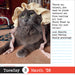 Bad Cat 2026 Page-A-Day Calendar